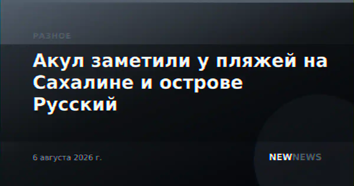 Акул заметили у пляжей на Сахалине и острове Русский