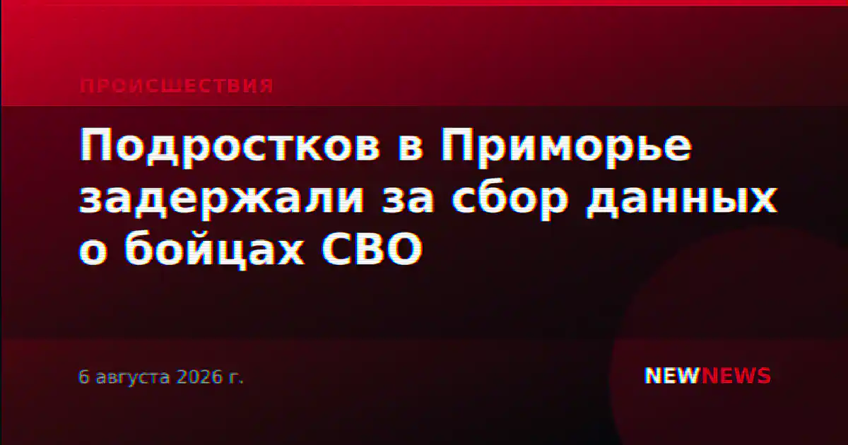 Подростков в Приморье задержали за сбор данных о бойцах СВО