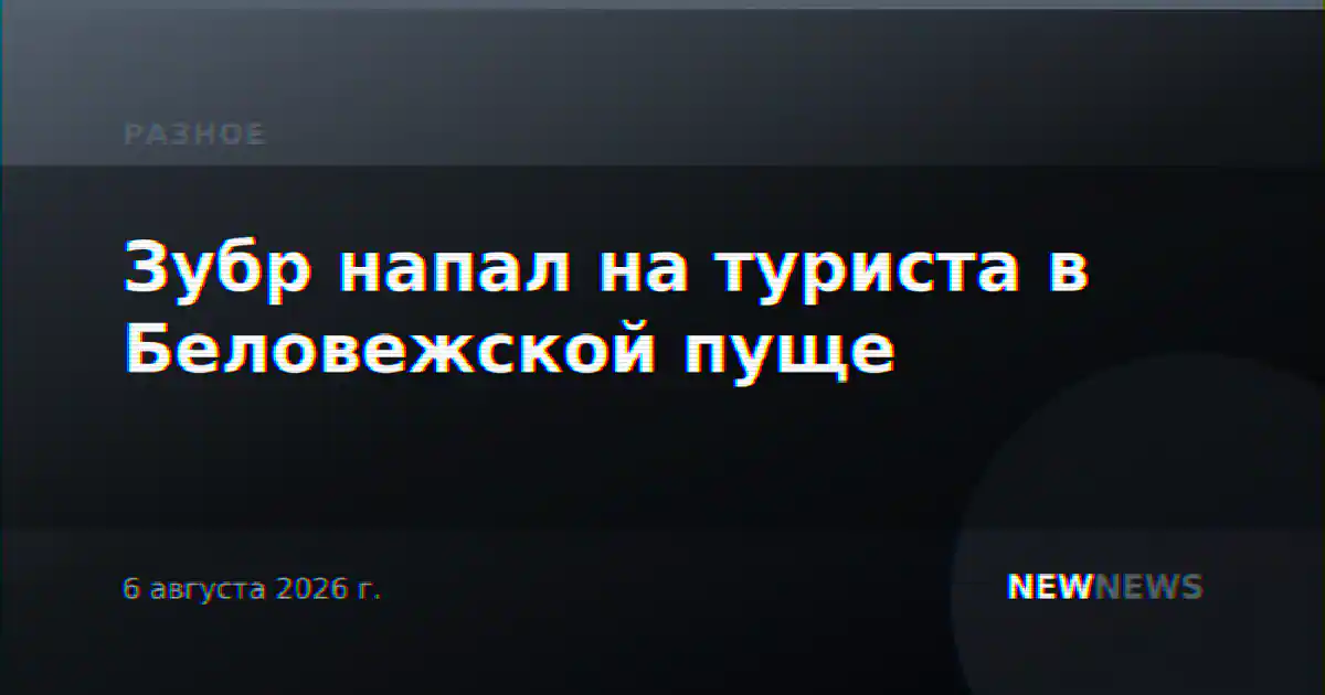 Зубр напал на туриста в Беловежской пуще