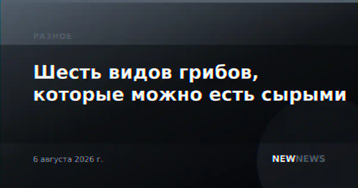 Шесть видов грибов, которые можно есть сырыми