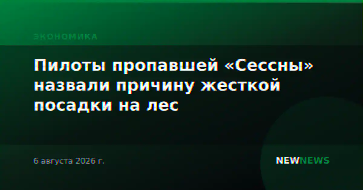 Пилоты пропавшей «Сессны» назвали причину жесткой посадки на лес