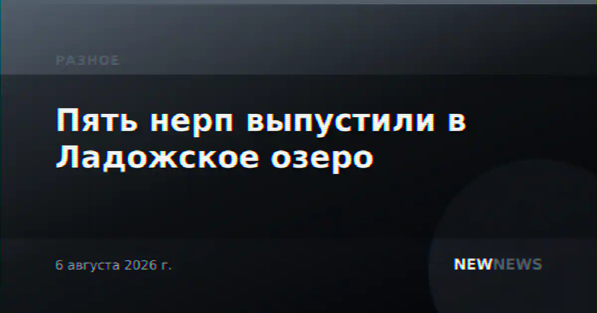 Пять нерп выпустили в Ладожское озеро