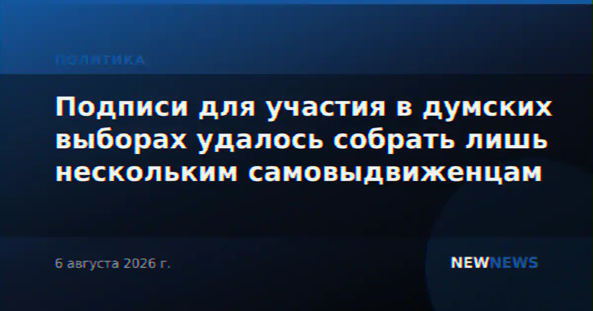 Подписи для участия в думских выборах удалось собрать лишь нескольким самовыдвиженцам