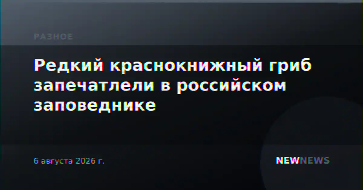 Редкий краснокнижный гриб запечатлели в российском заповеднике