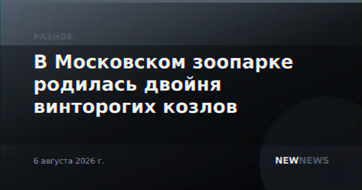 В Московском зоопарке родилась двойня винторогих козлов