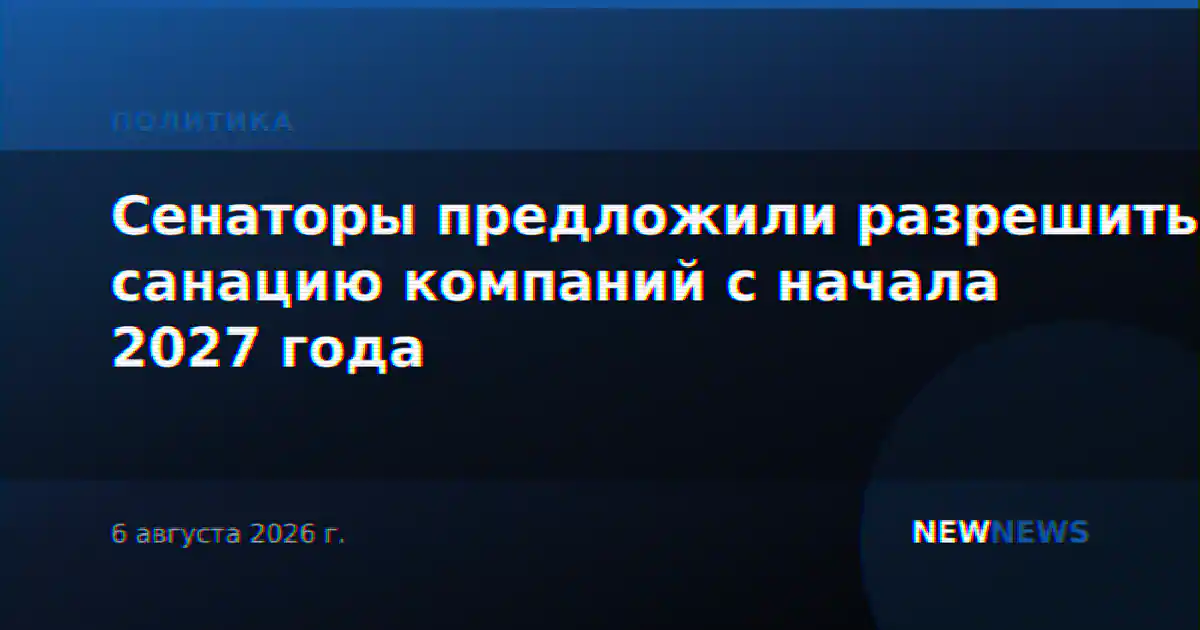 Сенаторы предложили разрешить санацию компаний с начала 2027 года