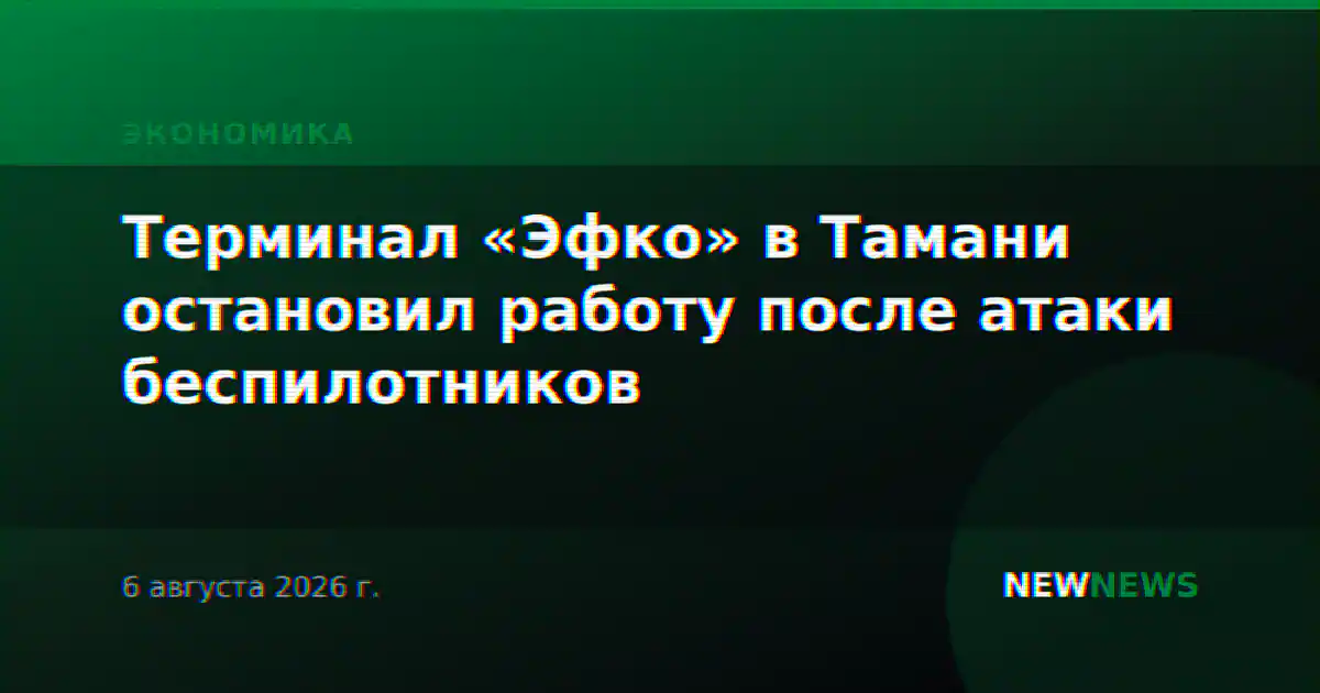 Терминал «Эфко» в Тамани остановил работу после атаки беспилотников