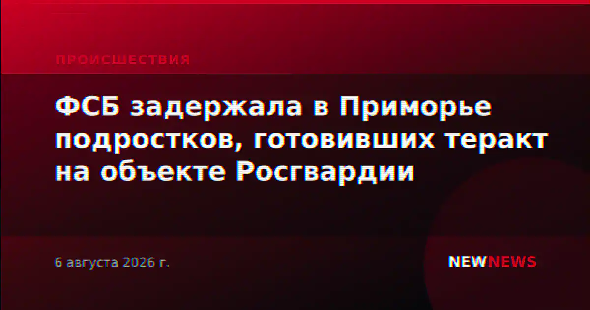 ФСБ задержала в Приморье подростков, готовивших теракт на объекте Росгвардии