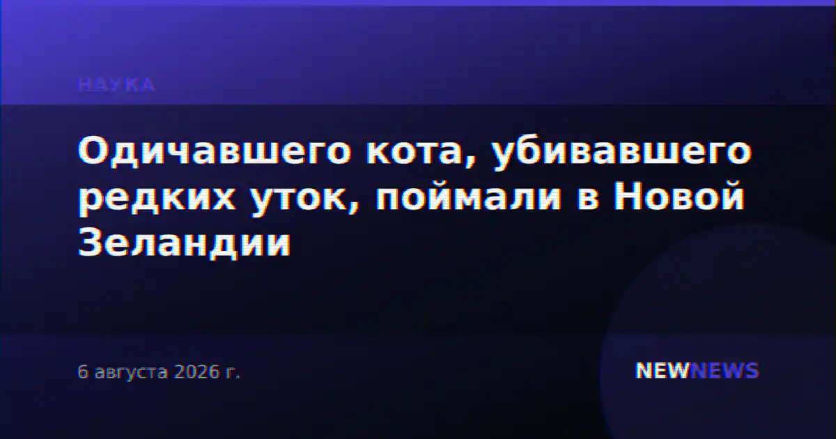 Одичавшего кота, убивавшего редких уток, поймали в Новой Зеландии