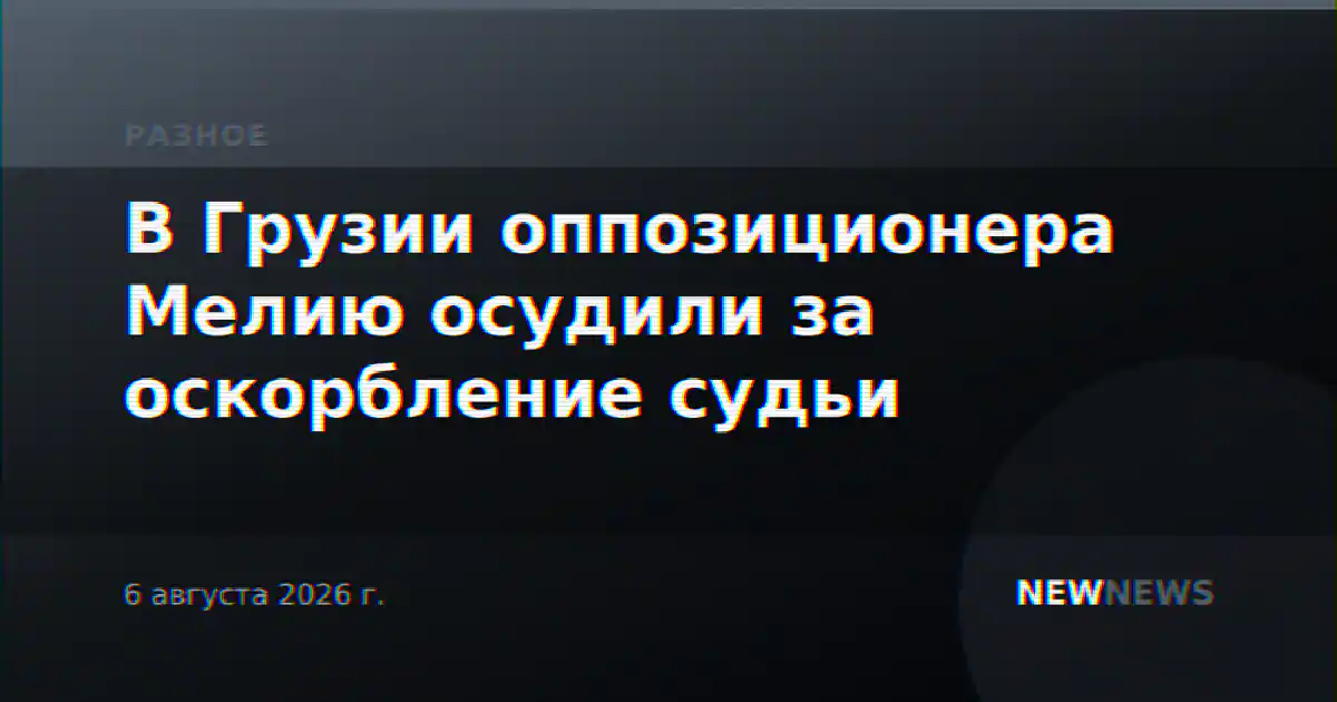 В Грузии оппозиционера Мелию осудили за оскорбление судьи