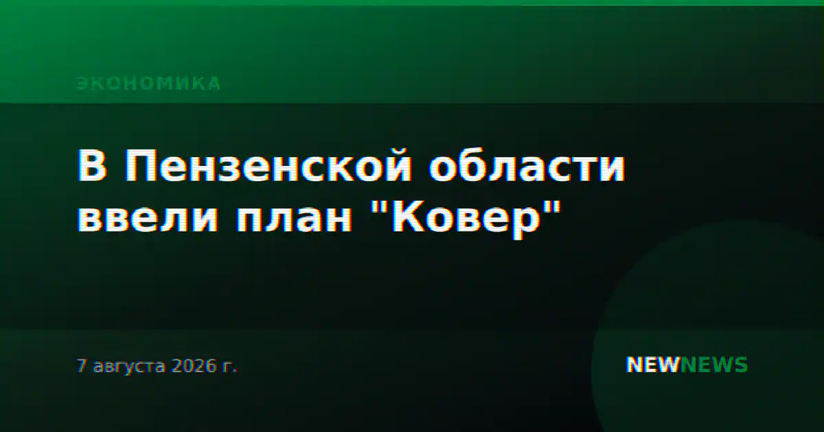 В Пензенской области ввели план "Ковер"