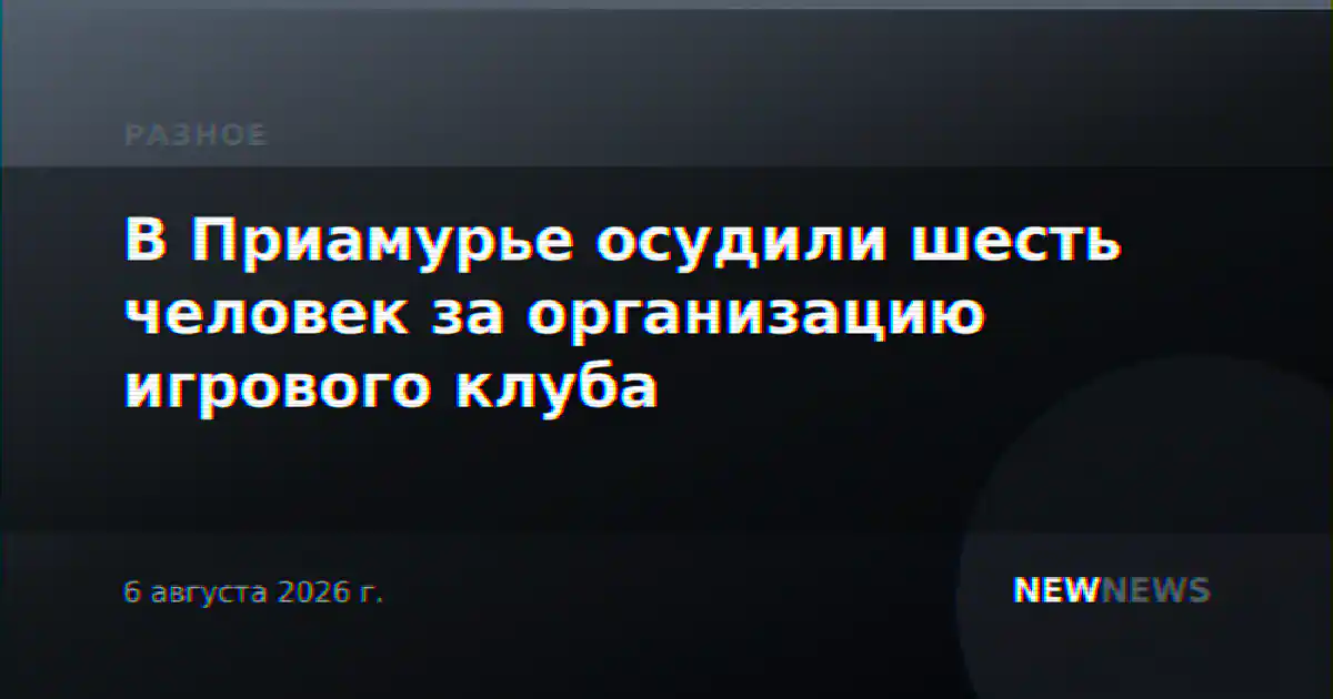 В Приамурье осудили шесть человек за организацию игрового клуба