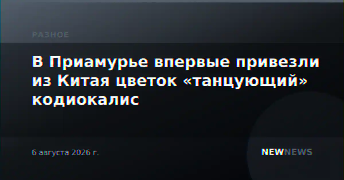 В Приамурье впервые привезли из Китая цветок «танцующий» кодиокалис