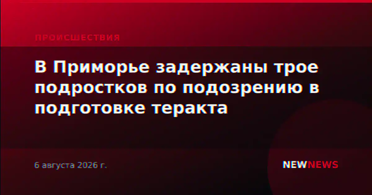 В Приморье задержаны трое подростков по подозрению в подготовке теракта