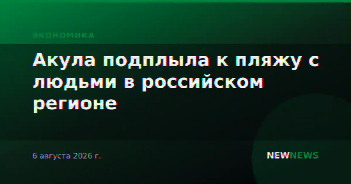 Акула подплыла к пляжу с людьми в российском регионе