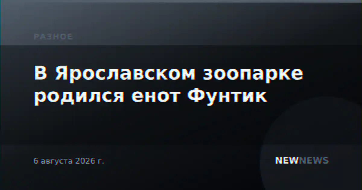 В Ярославском зоопарке родился енот Фунтик