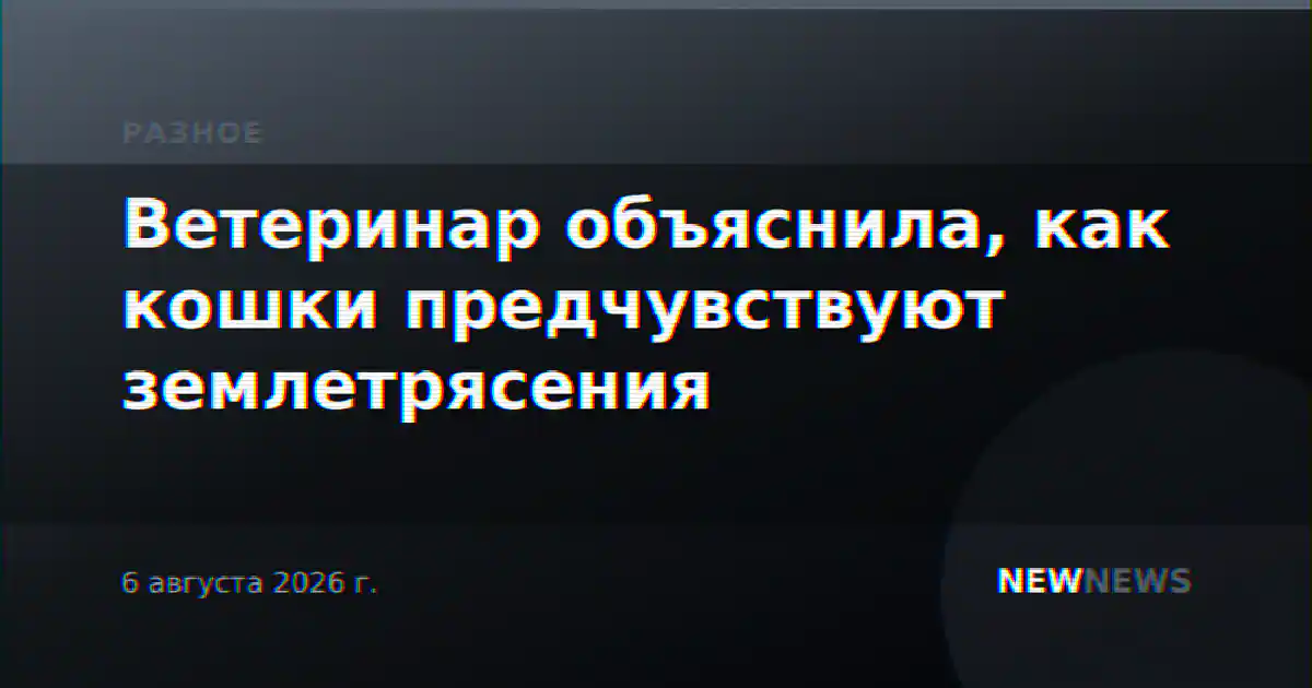 Ветеринар объяснила, как кошки предчувствуют землетрясения