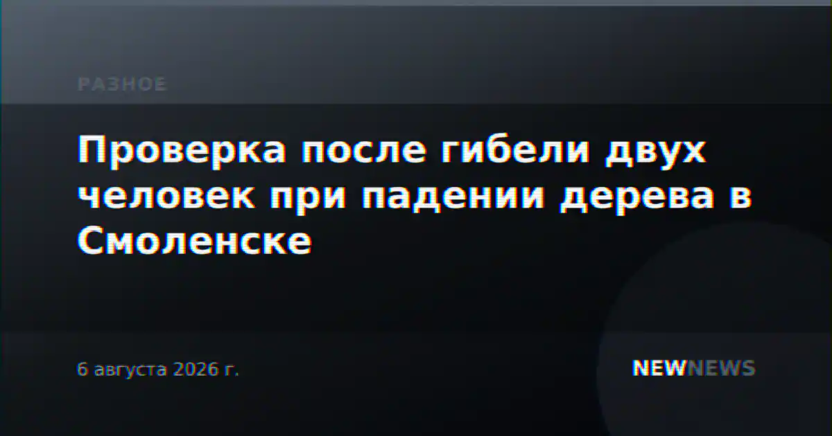 Проверка после гибели двух человек при падении дерева в Смоленске