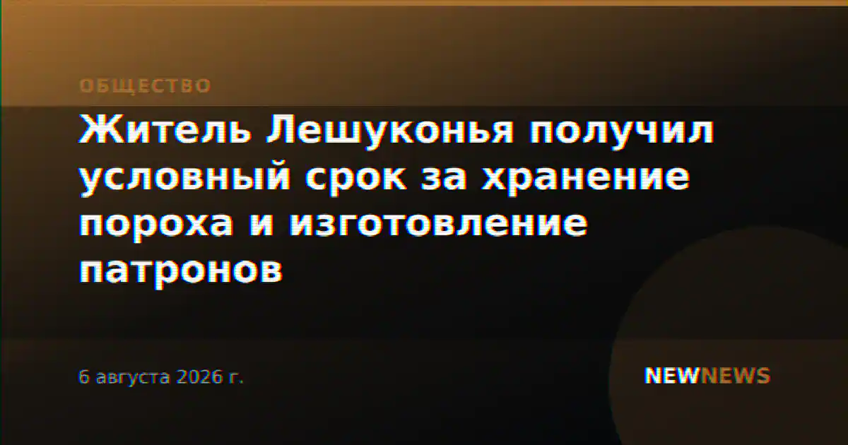 Житель Лешуконья получил условный срок за хранение пороха и изготовление патронов