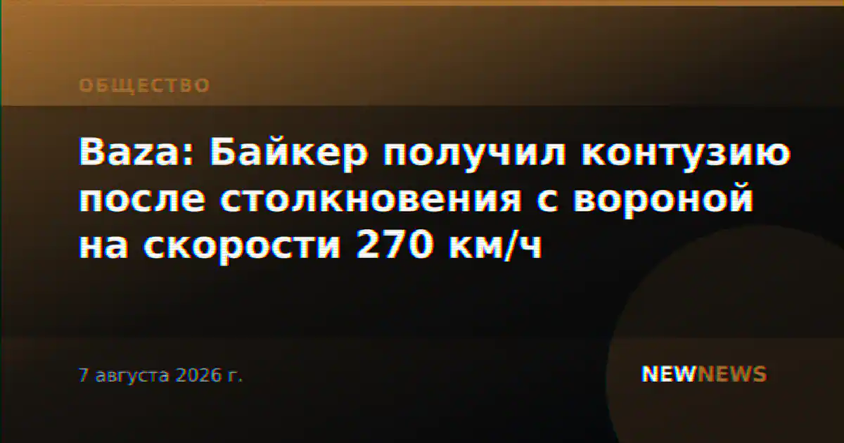 Baza: Байкер получил контузию после столкновения с вороной на скорости 270 км/ч
