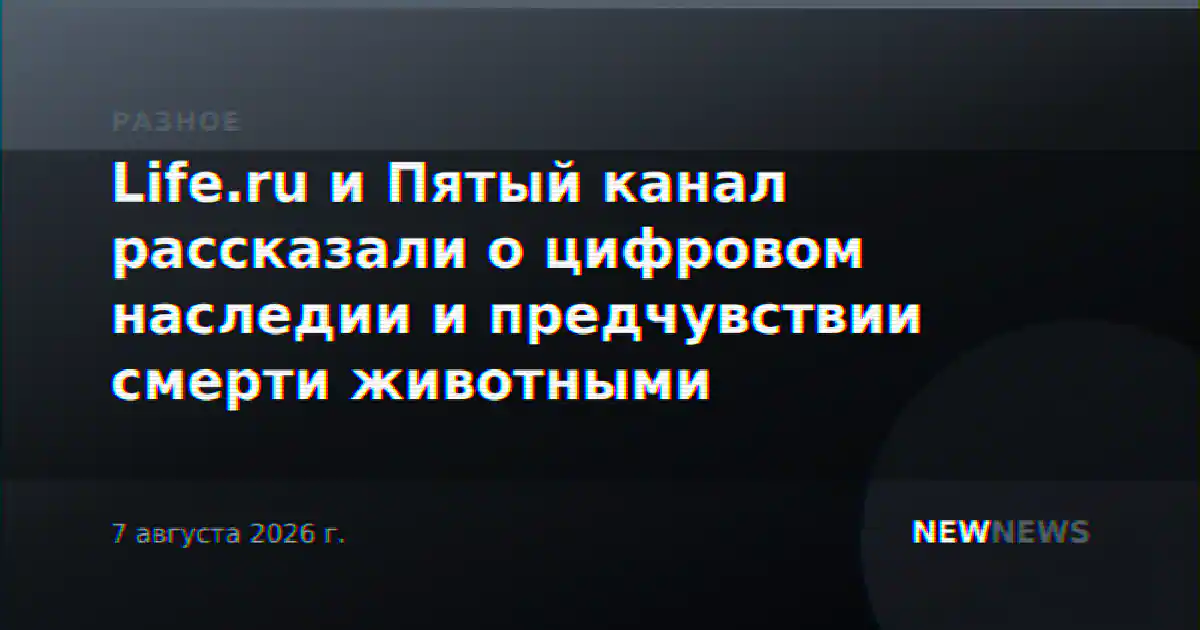 Life.ru и Пятый канал рассказали о цифровом наследии и предчувствии смерти животными