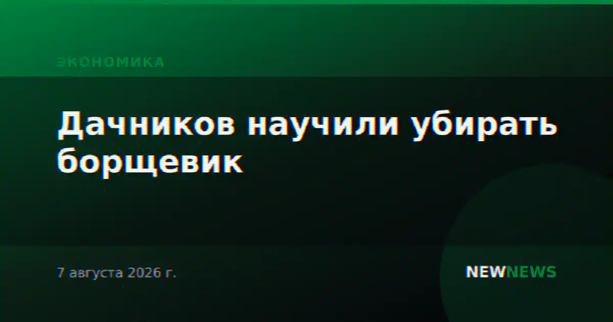 Дачников научили убирать борщевик