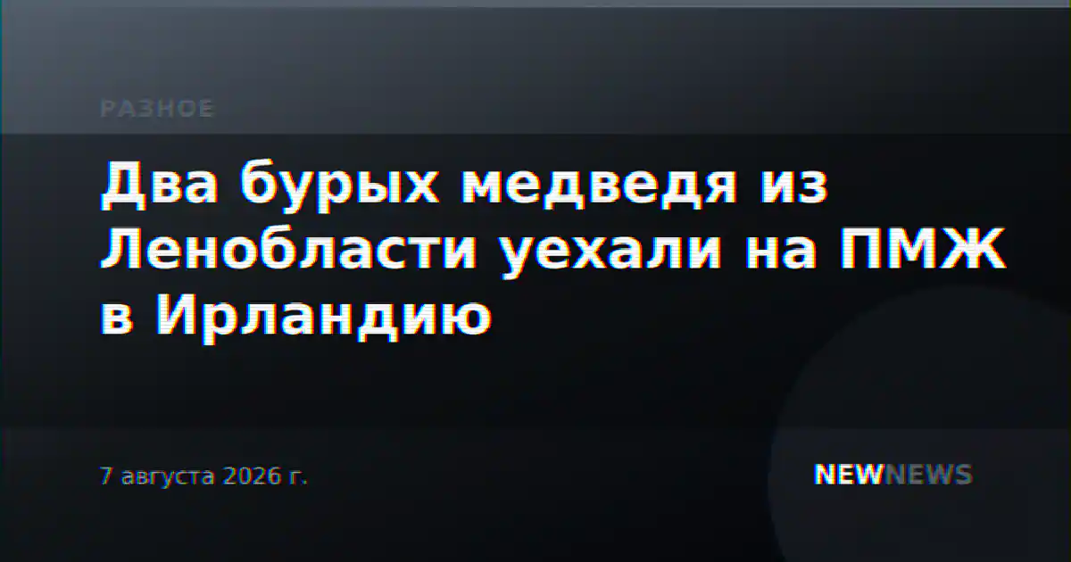 Два бурых медведя из Ленобласти уехали на ПМЖ в Ирландию
