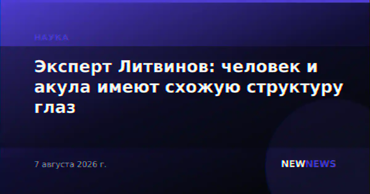 Эксперт Литвинов: человек и акула имеют схожую структуру глаз