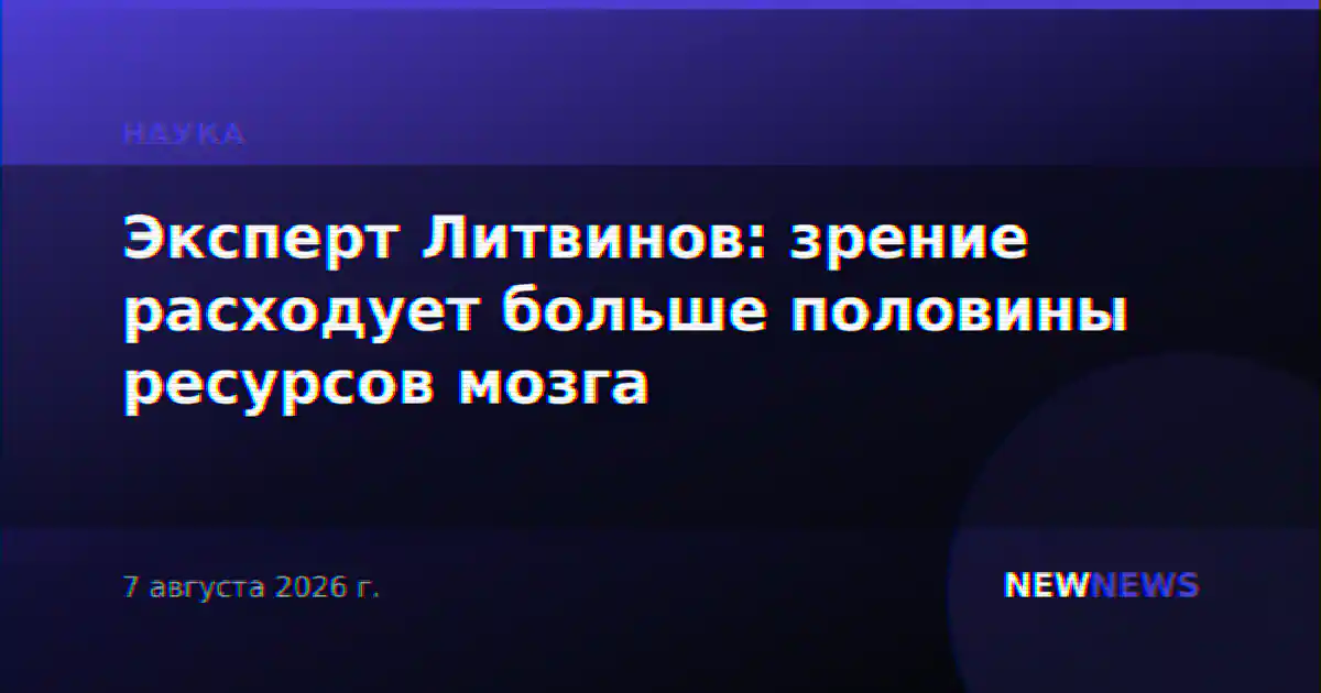 Эксперт Литвинов: зрение расходует больше половины ресурсов мозга