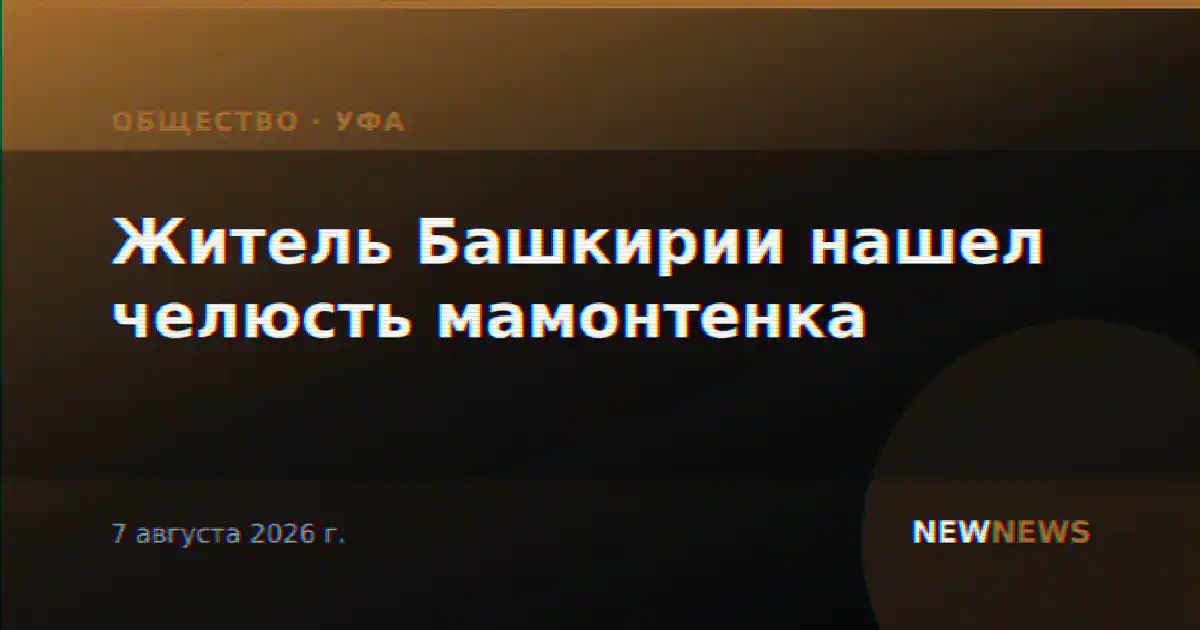 Житель Башкирии нашел челюсть мамонтенка