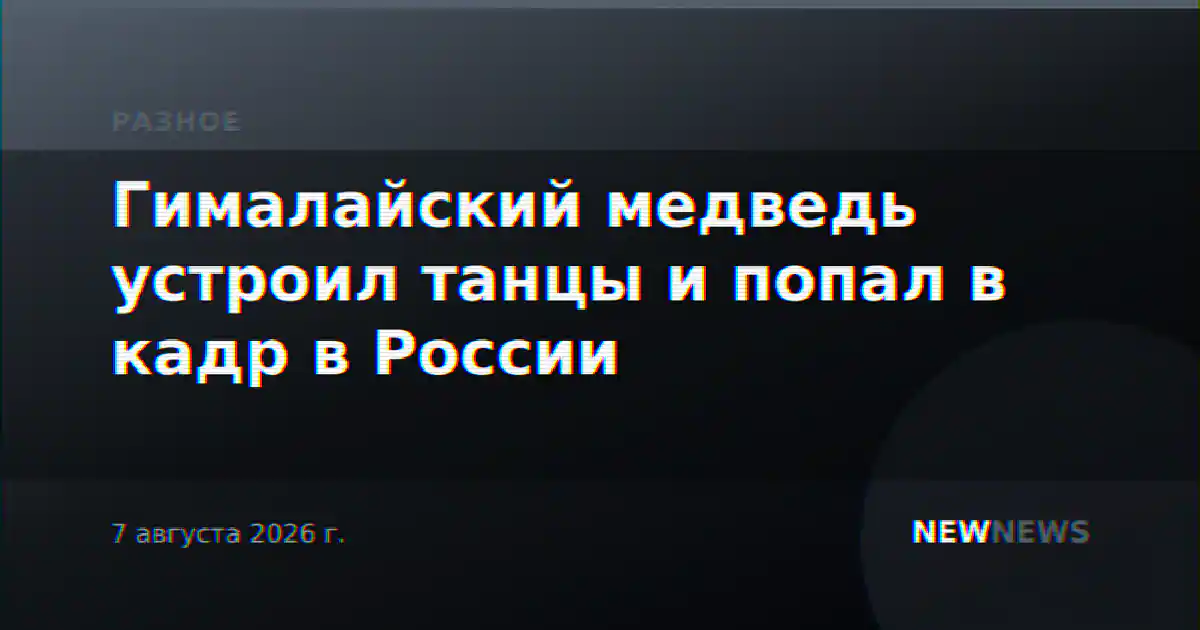Гималайский медведь устроил танцы и попал в кадр в России