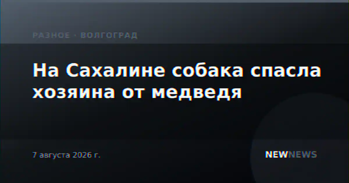 На Сахалине собака спасла хозяина от медведя