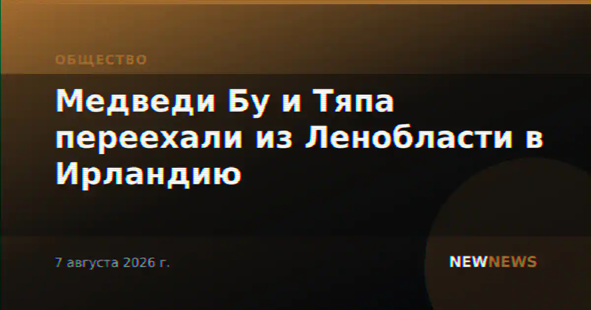 Медведи Бу и Тяпа переехали из Ленобласти в Ирландию
