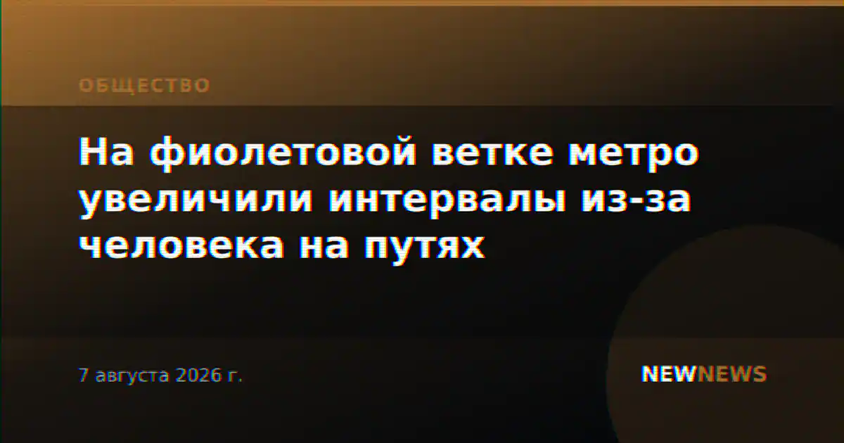 На фиолетовой ветке метро увеличили интервалы из-за человека на путях