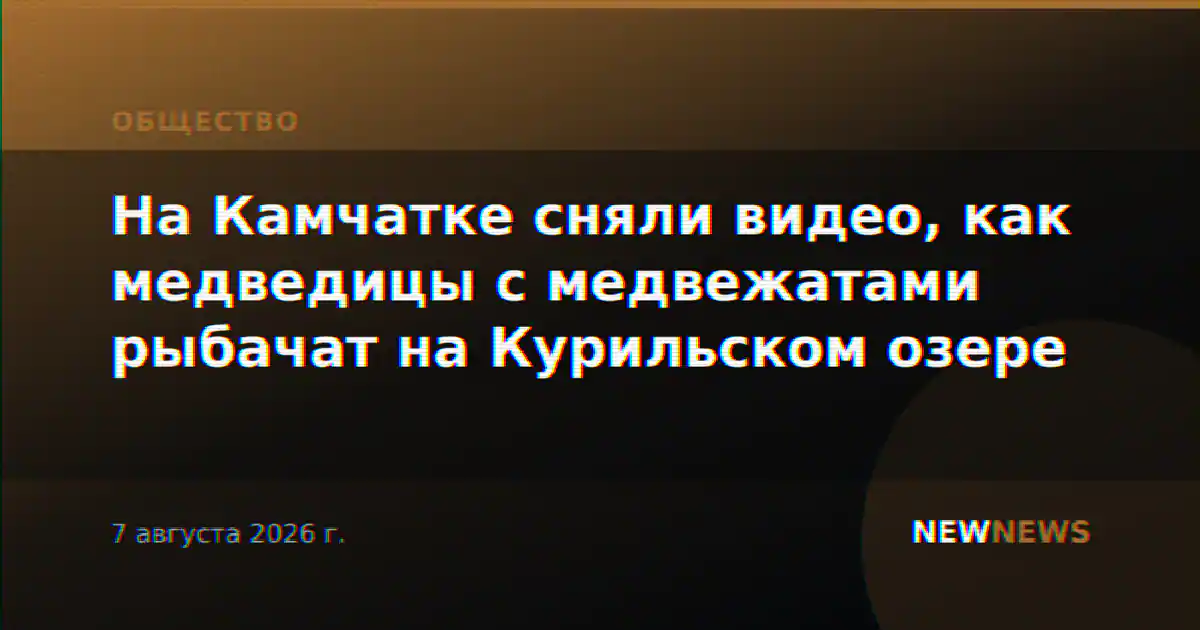 На Камчатке сняли видео, как медведицы с медвежатами рыбачат на Курильском озере