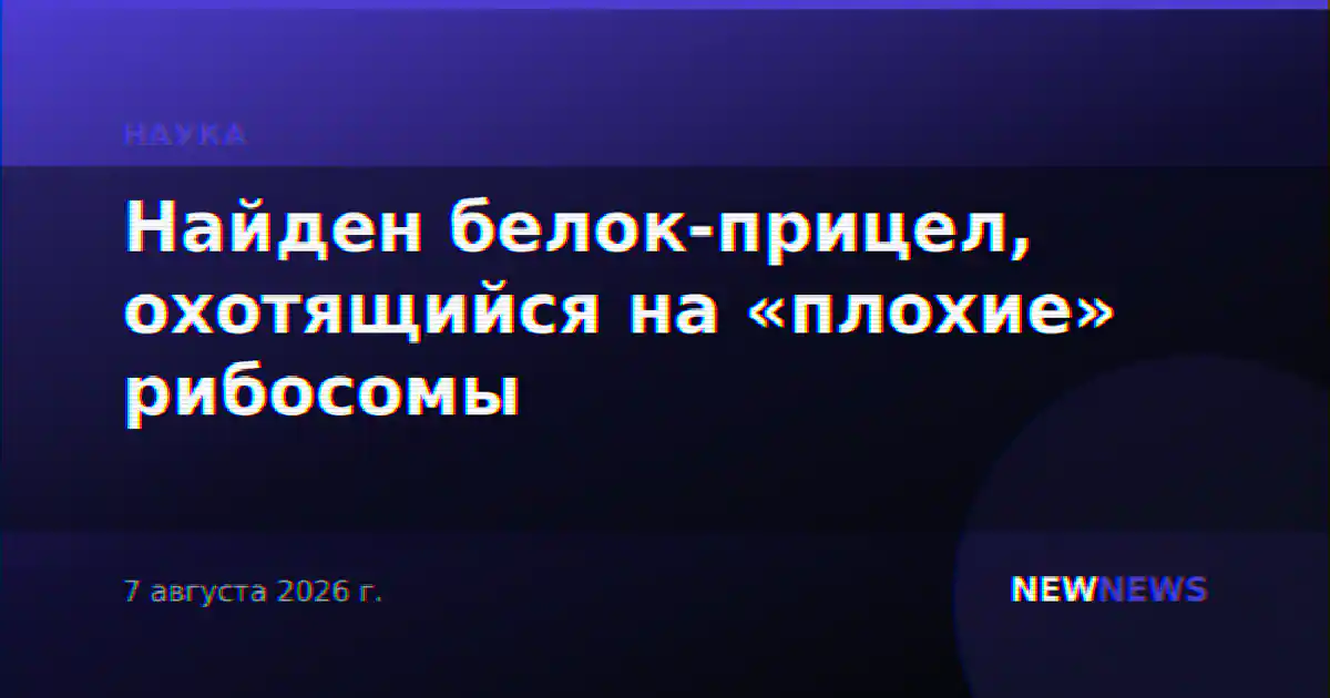 Найден белок-прицел, охотящийся на «плохие» рибосомы