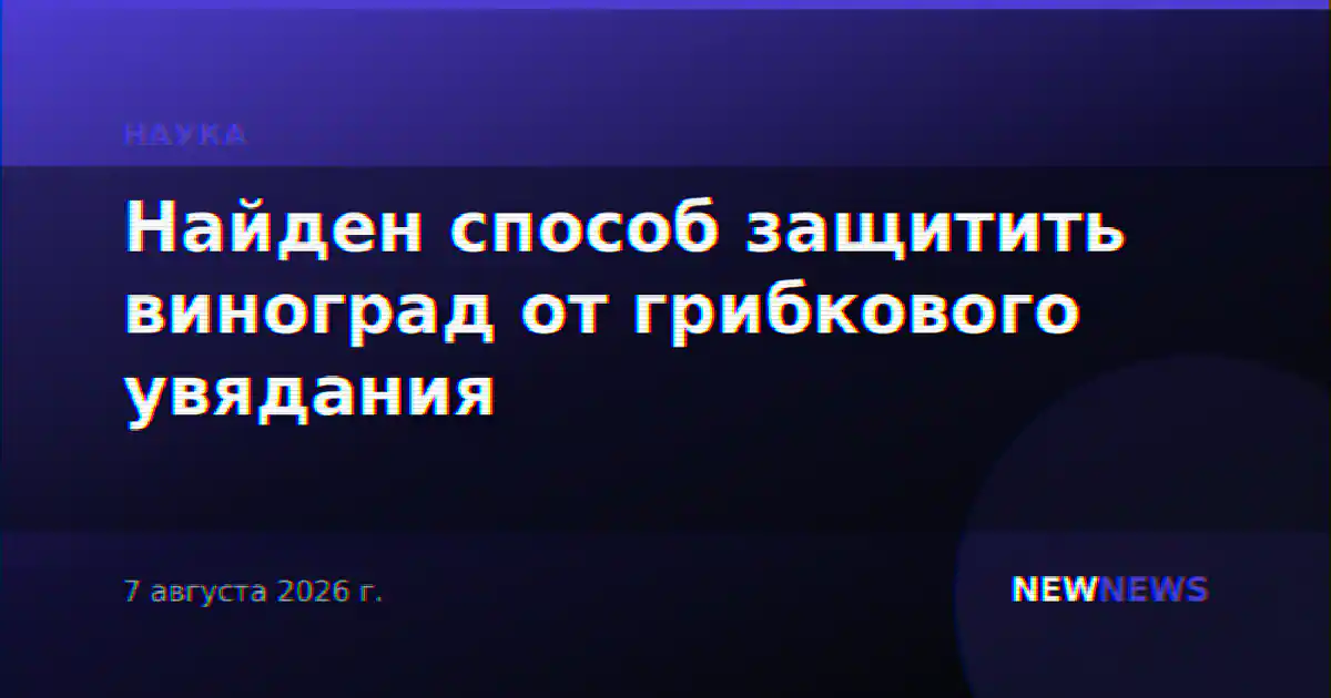 Найден способ защитить виноград от грибкового увядания