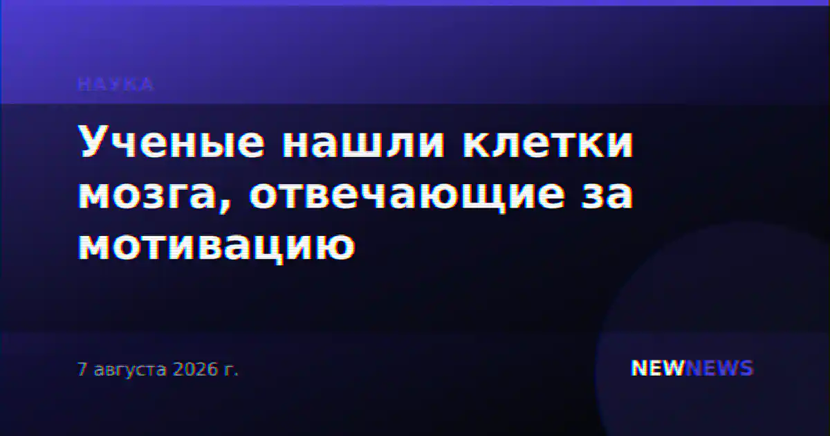 Ученые нашли клетки мозга, отвечающие за мотивацию
