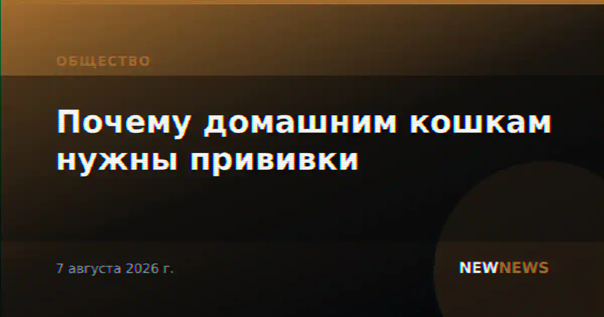 Почему домашним кошкам нужны прививки