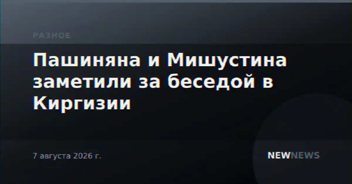 Пашиняна и Мишустина заметили за беседой в Киргизии