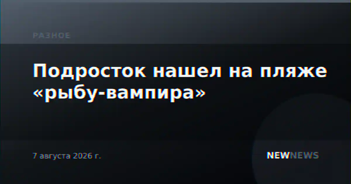 Подросток нашел на пляже «рыбу-вампира»