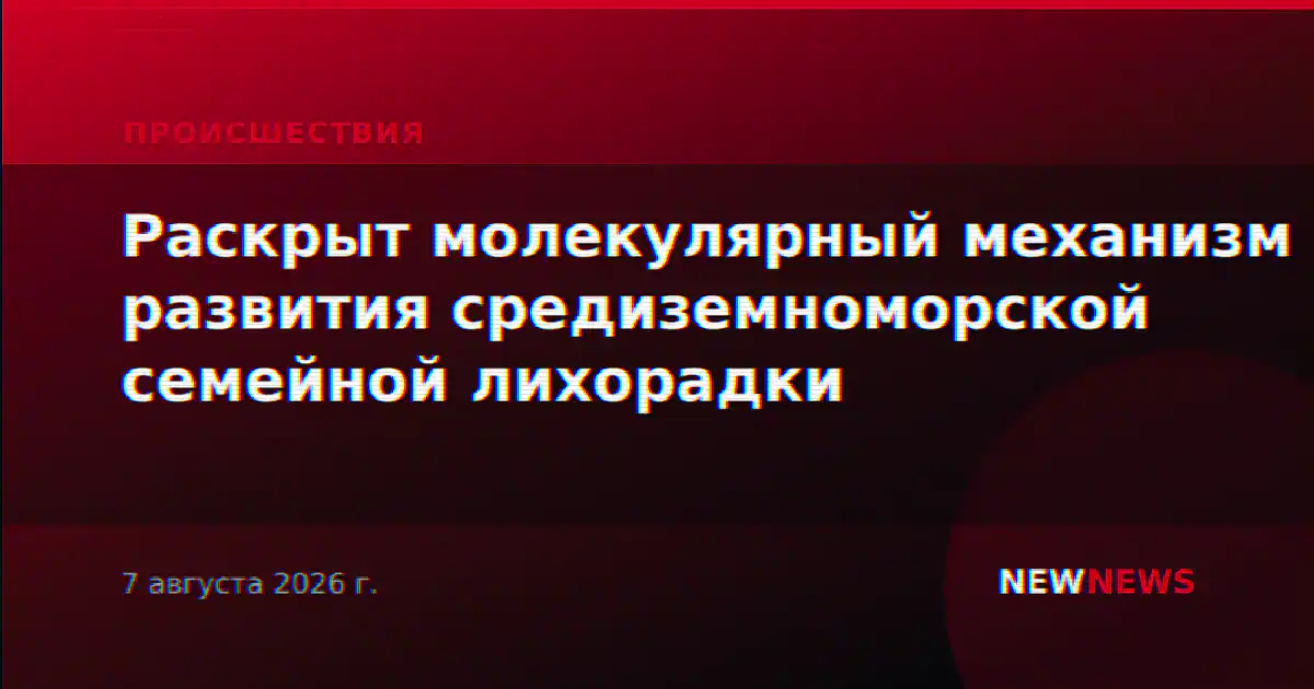 Раскрыт молекулярный механизм развития средиземноморской семейной лихорадки