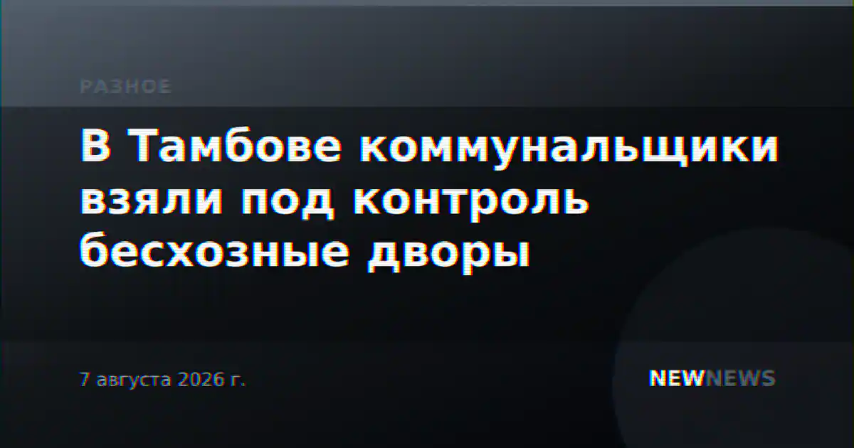 В Тамбове коммунальщики взяли под контроль бесхозные дворы