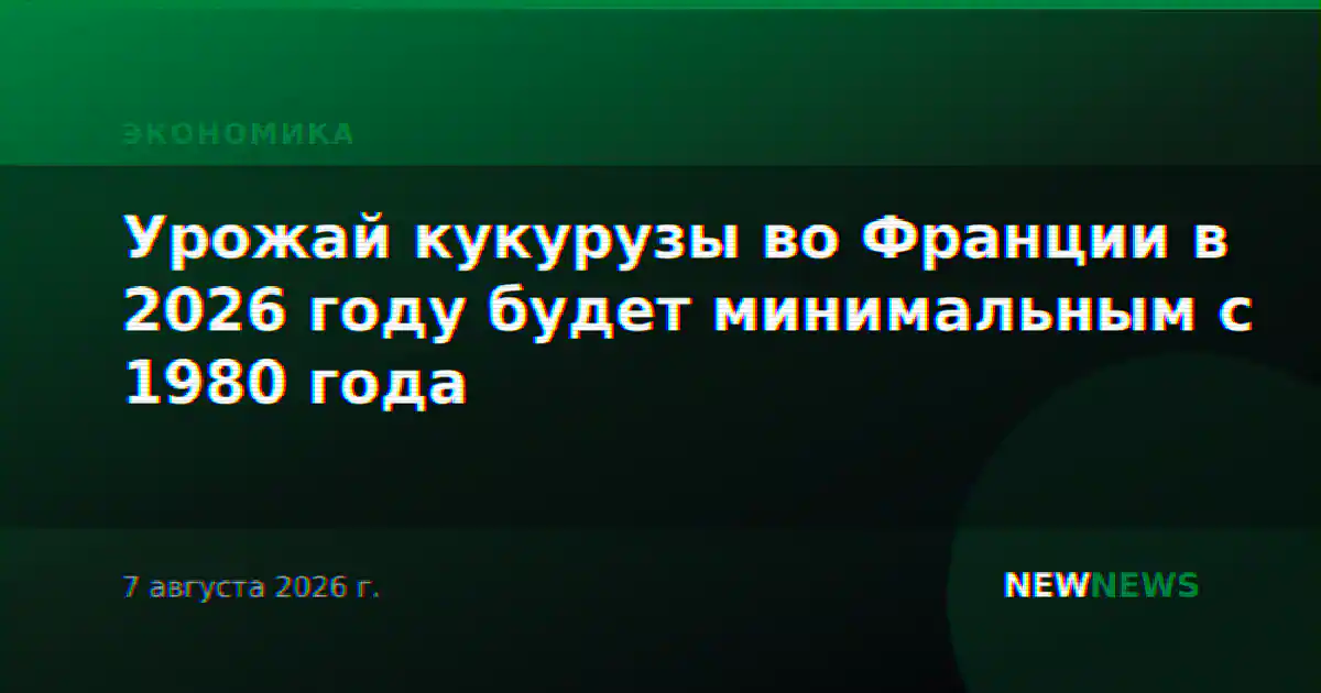 Урожай кукурузы во Франции в 2026 году будет минимальным с 1980 года