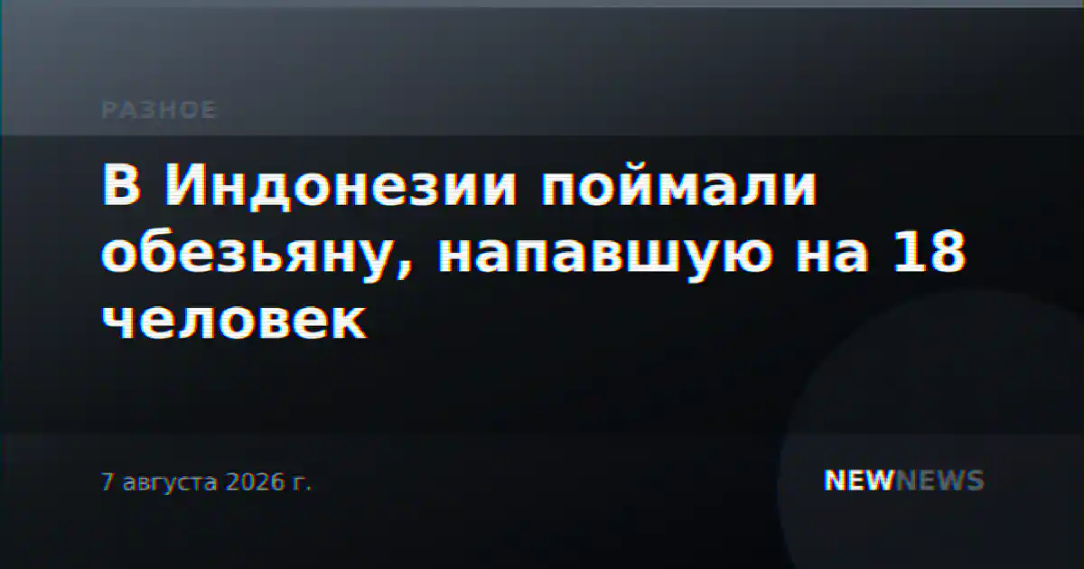 В Индонезии поймали обезьяну, напавшую на 18 человек