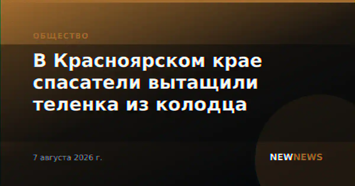 В Красноярском крае спасатели вытащили теленка из колодца