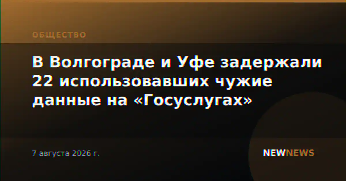 В Волгограде и Уфе задержали 22 использовавших чужие данные на «Госуслугах»