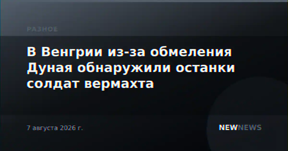 В Венгрии из-за обмеления Дуная обнаружили останки солдат вермахта