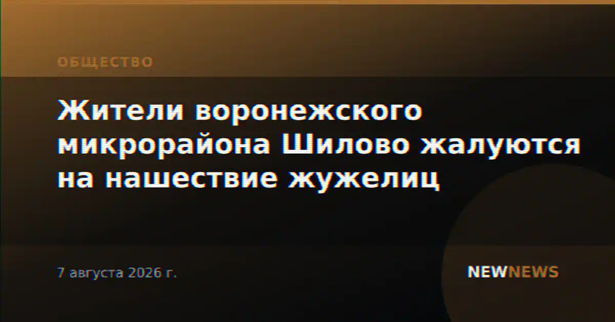 Жители воронежского микрорайона Шилово жалуются на нашествие жужелиц