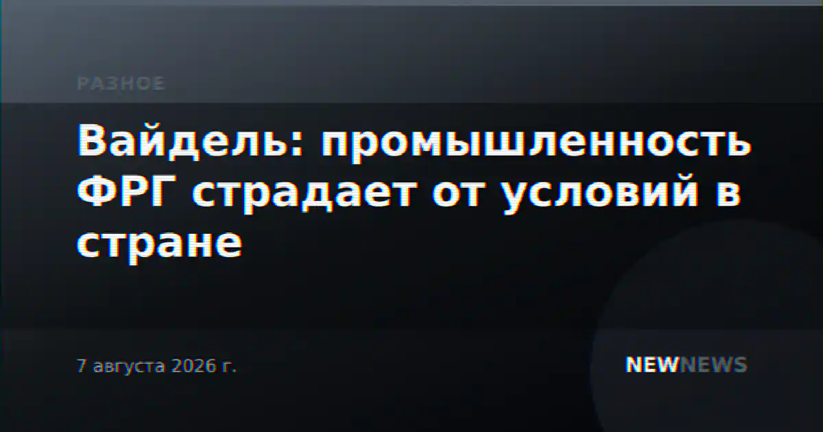 Вайдель: промышленность ФРГ страдает от условий в стране